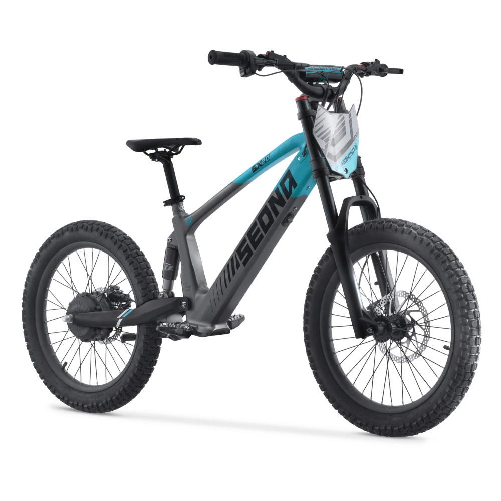 SX20