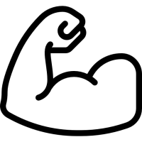 icone_robuste